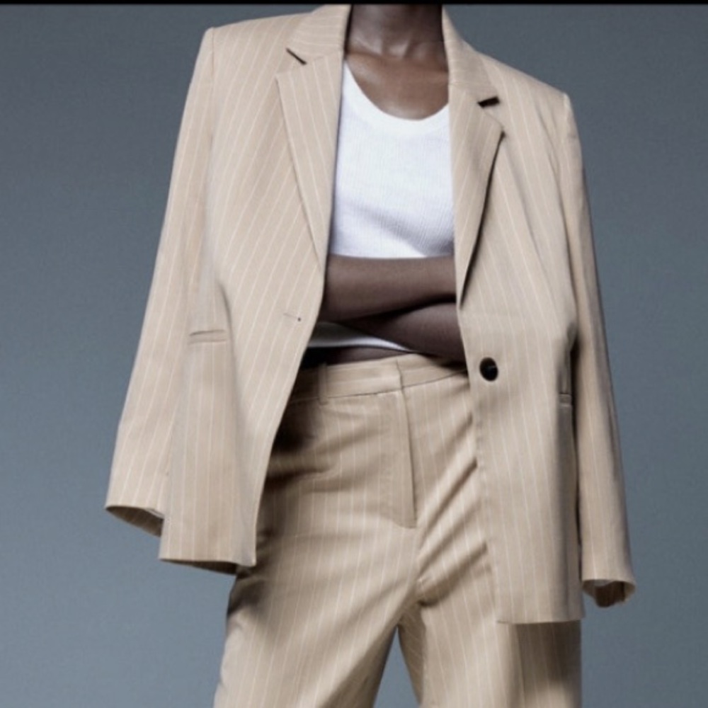 NWOT Zara, Beige Pinstripe Single-Button Blazer, Business, Size M